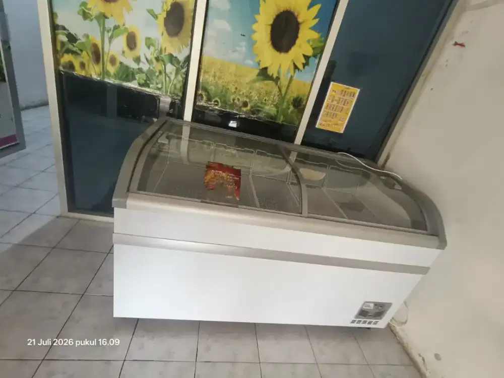 Freezer frozen food