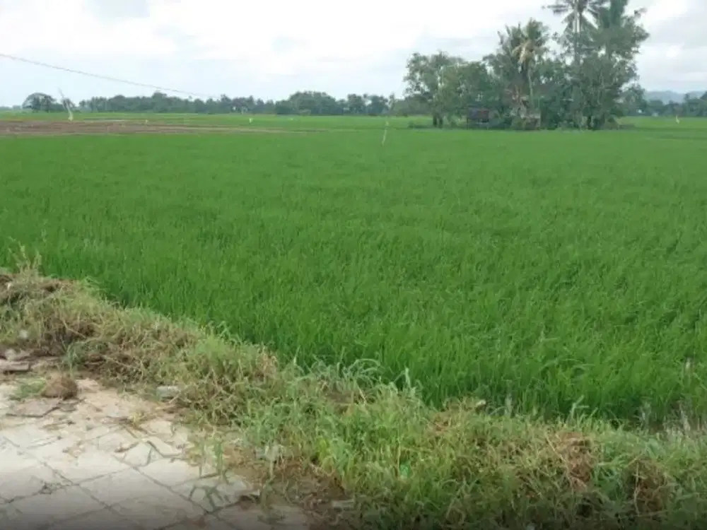 Dijual Tanah sekitar Jalan Poros Bantimurung, Maros