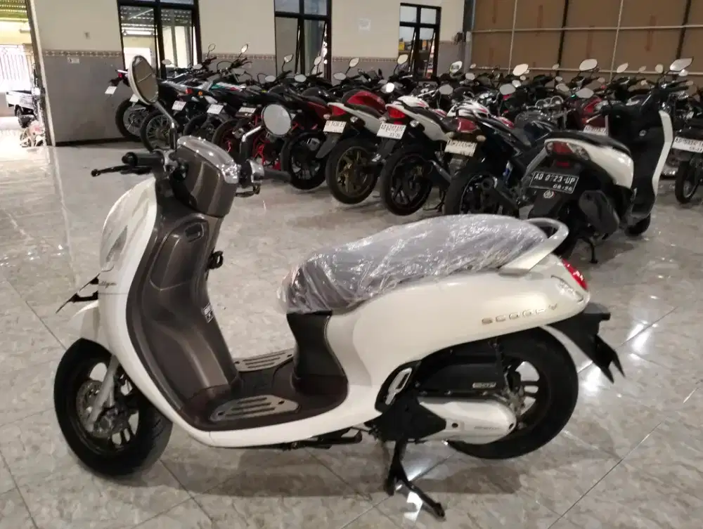 Honda Scoopy prestige murah dan bagus
