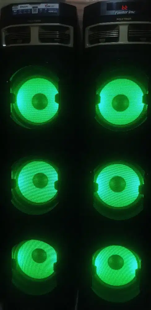 POLYTRON PAS 10DF38
