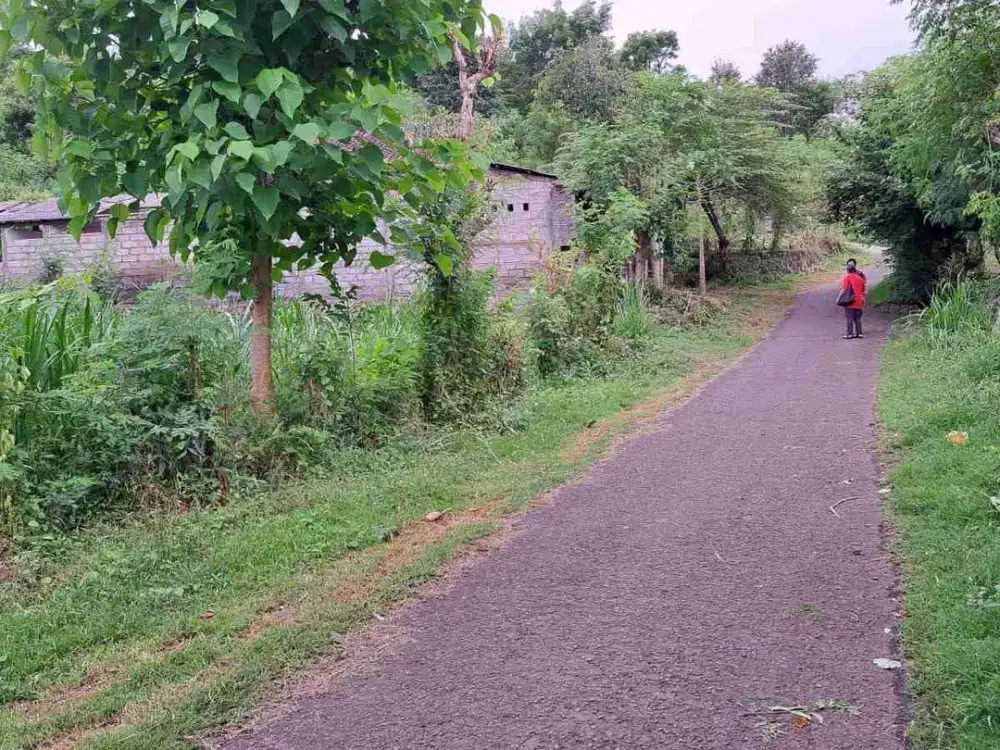 DIJUAL LAHAN COCOK UNTUK VILLA ATAU KEBUN ANGGUR