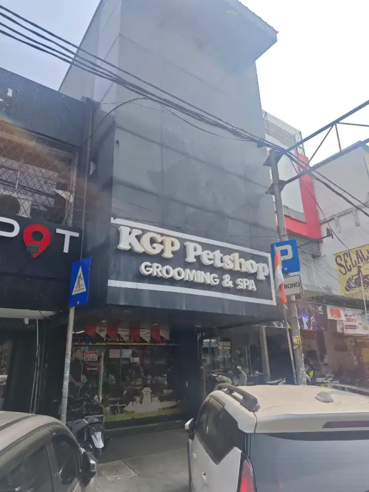 Groomer atau Kennel boy berpengalaman