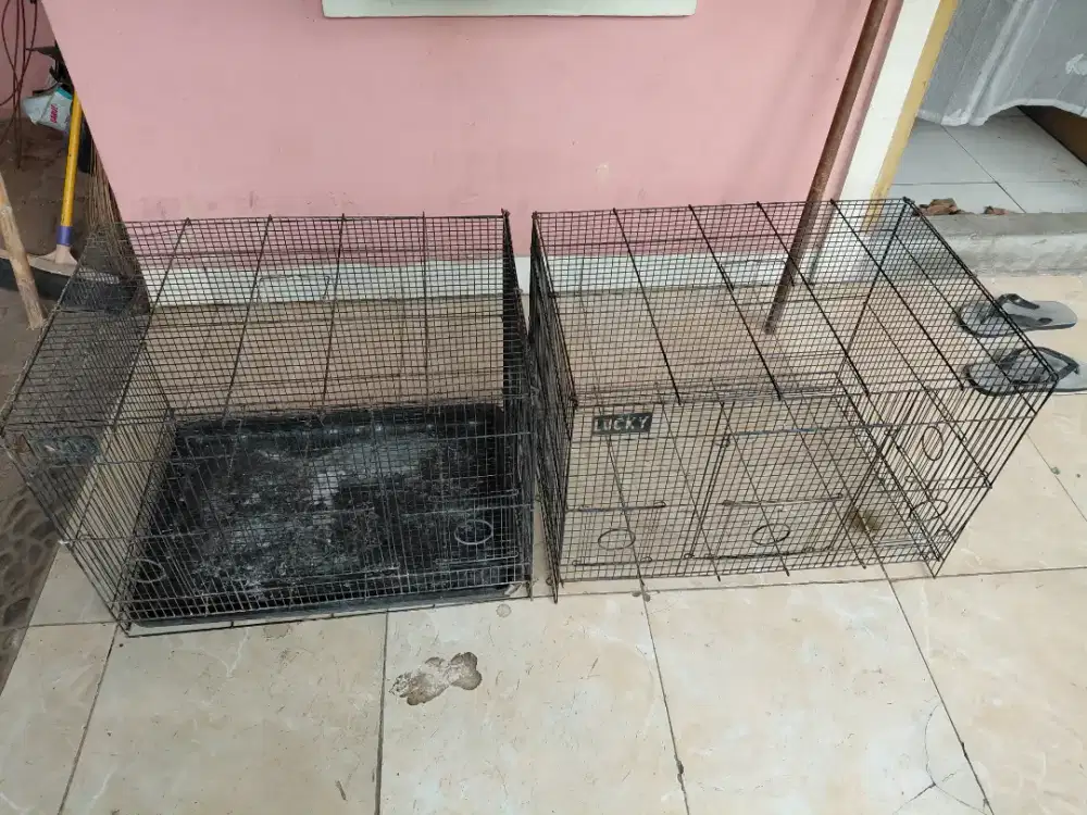 Kandang kota besi love bird