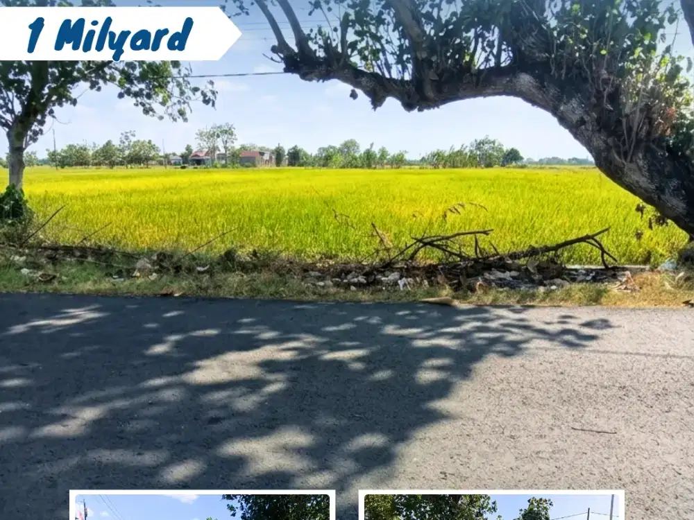 Dijual Sawah di Macanan, Kebakkramat Karanganyar