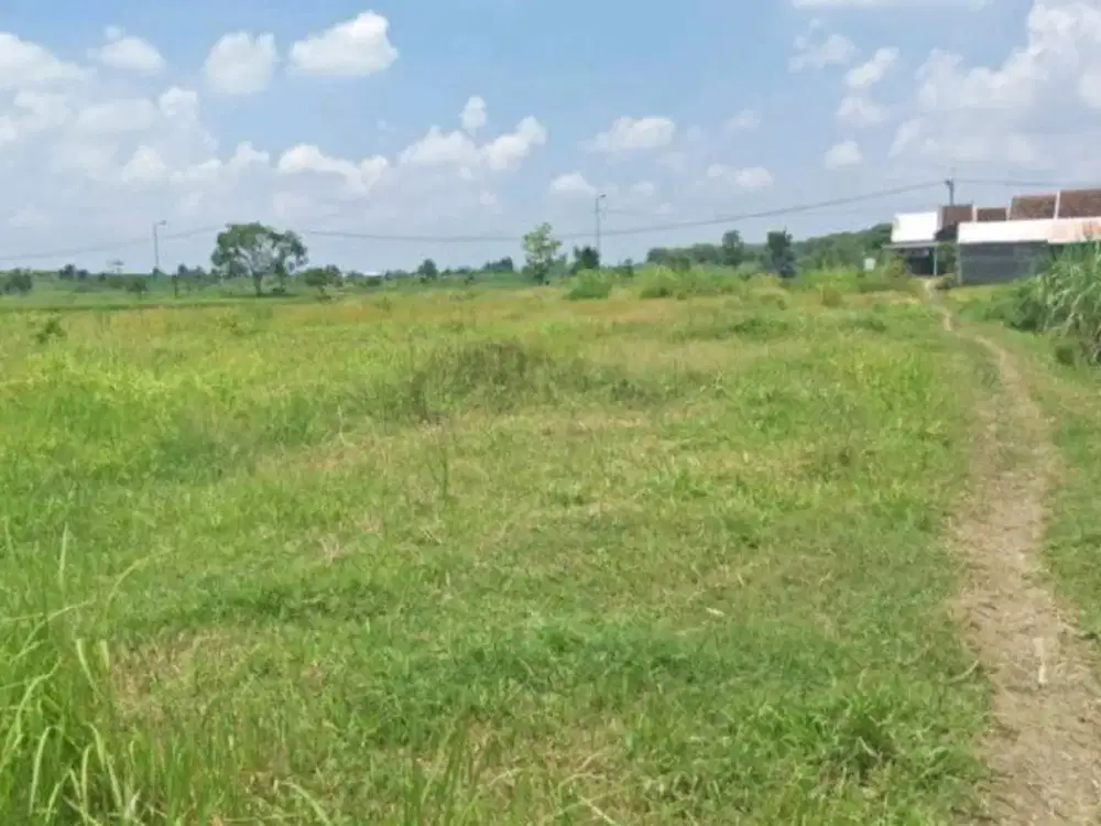 Tanah Industri Beji, Pasuruan. Selangkah Pintu Tol.