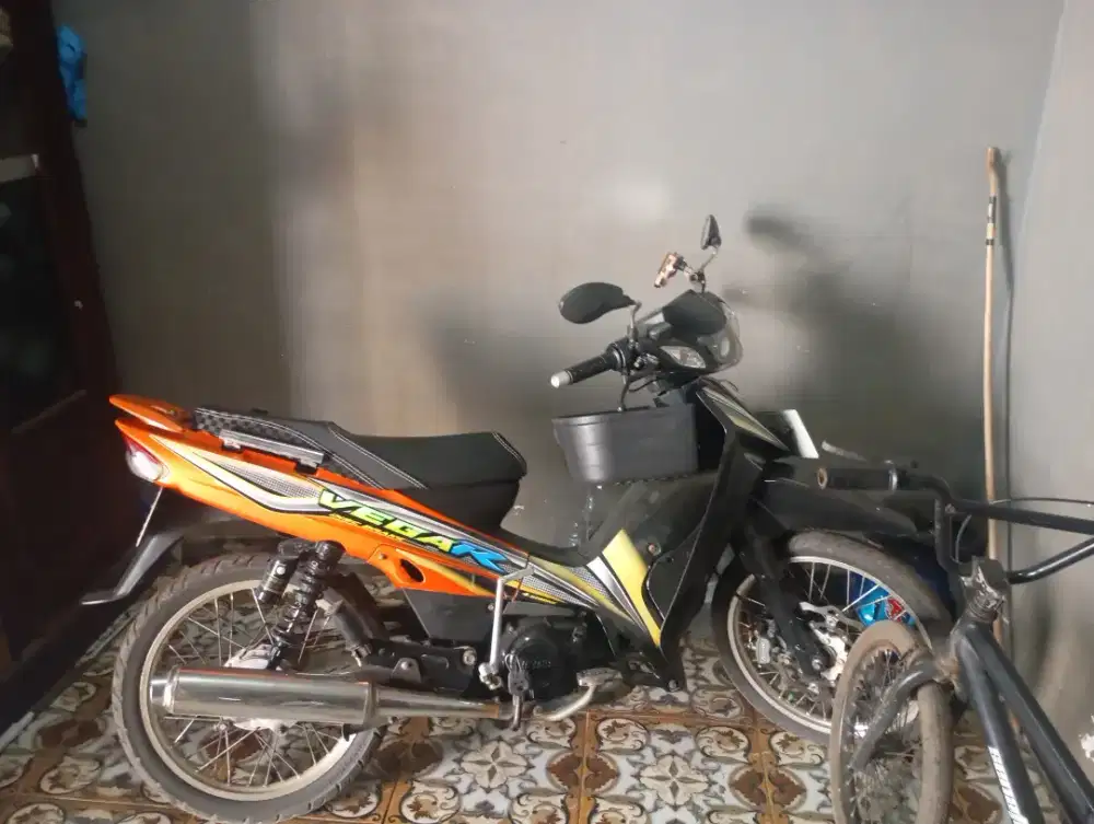 Vega r lama pajek hidup
