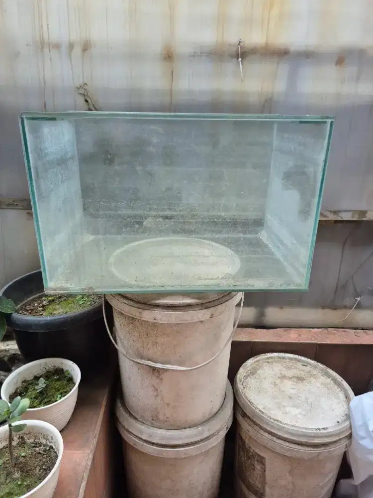 Aquarium Aquascape Ikan Hias 50cm