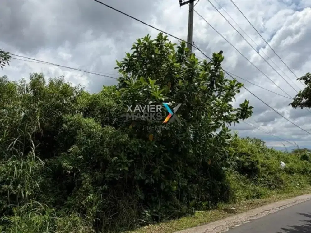Tanah Kavling Murah Dekat Pondok Tazkia di Landungsari, Dau. Malang