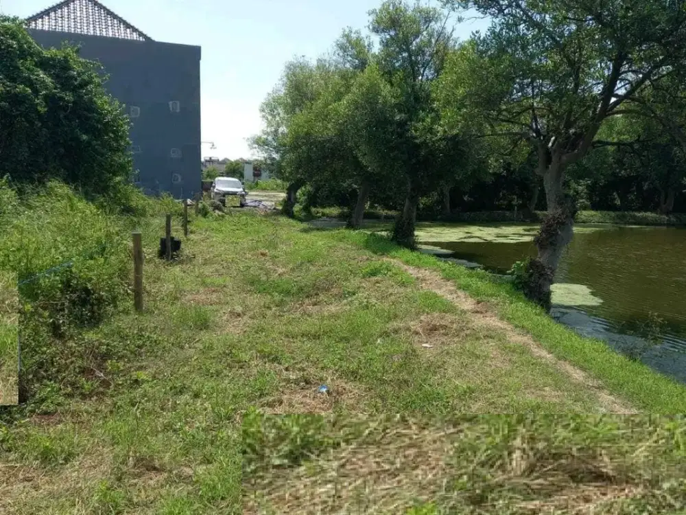 DIJUAL TANAH MEDOKAN SAWAH TIMUR RUNGKUT SURABAYA RON.A3303
