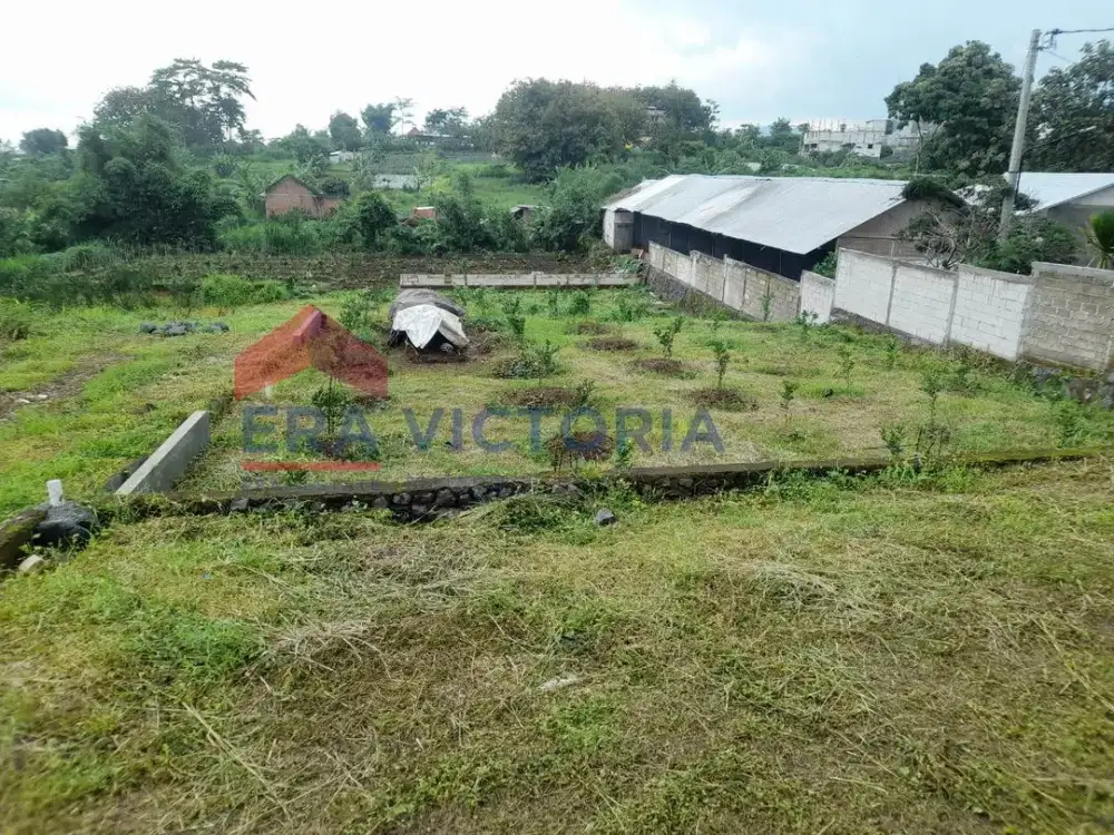Kavling Area Merjosari Kawasan Kuliner Dekat Delight Cafe