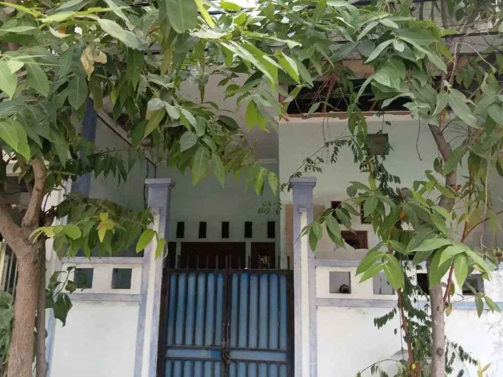 Asisten Rumah Tangga