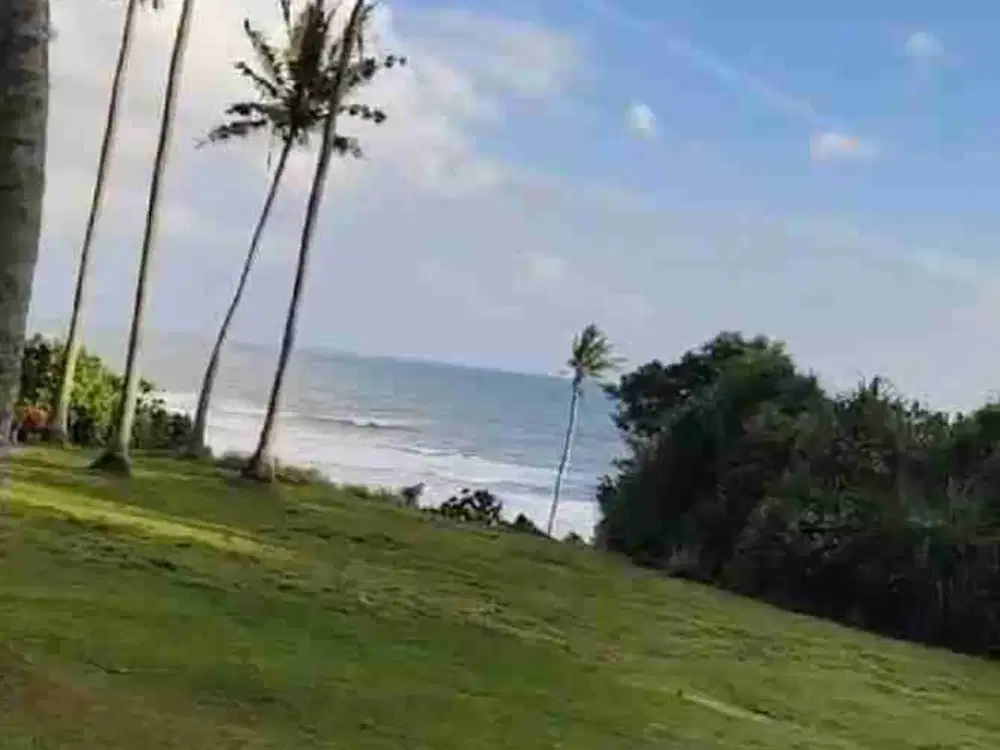 jual tanah murah. los pantai bonian. luas 78 are bisa di ambil 38 are harga 400/ are