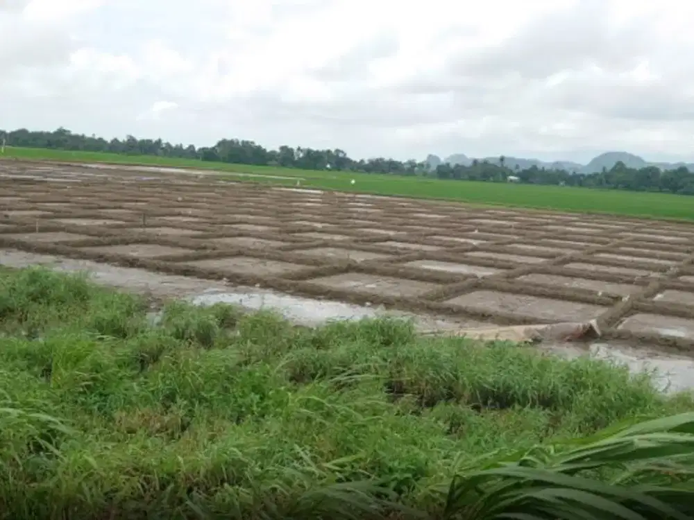 Dijual Tanah sekitar Jalan Poros Bantimurung, Maros