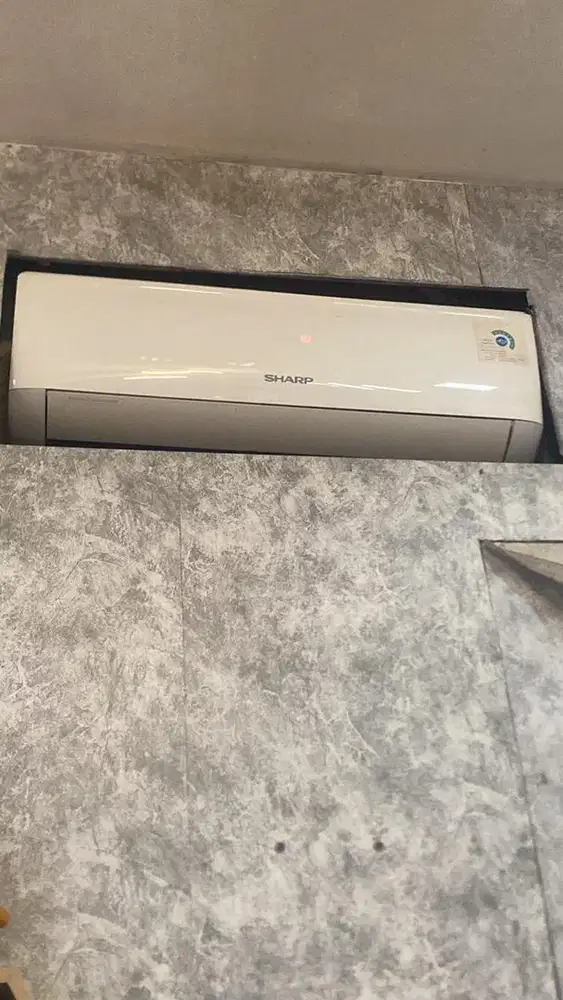 Ac sharp 1/2 pk