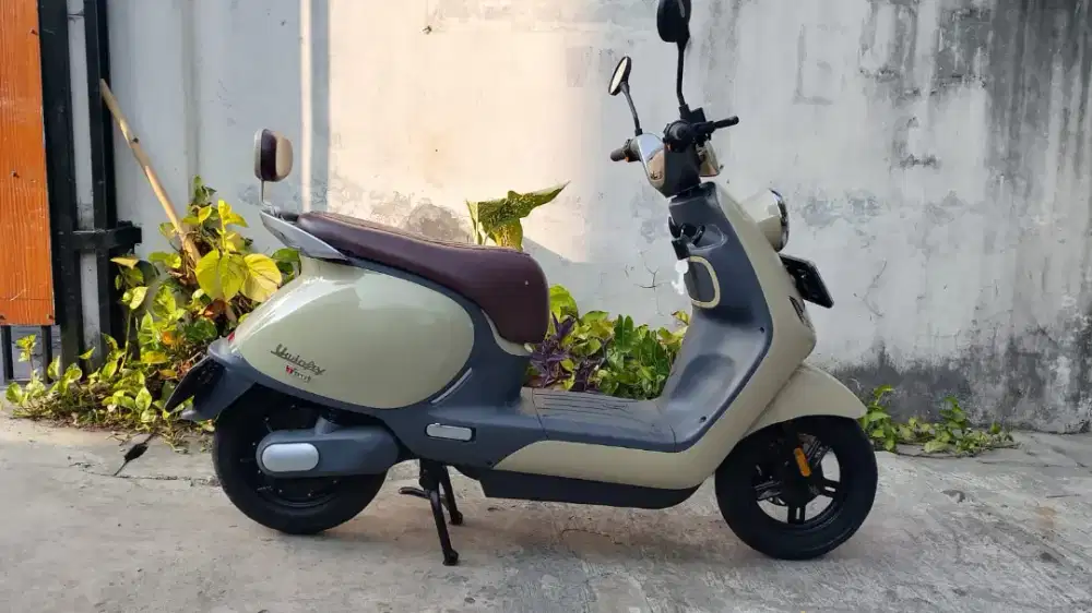 Molis uwinfly t80 2024