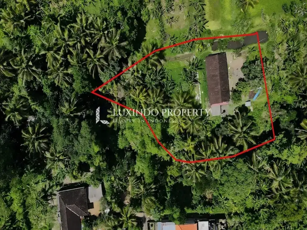 DISEWAKAN JANGKA PANJANG TANAH SELUAS 16 ARE DI BLAHBATUH, GIANYAR