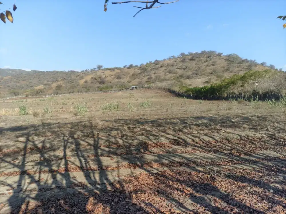 RARE INVESTMENT OPPORTUNITY: 2 HECTARES OF OCEAN-VIEW LAND IN TALIWANG, WEST SUMBAWA