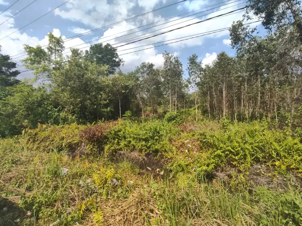 Dijual sebidang tanah lokasi strategis
