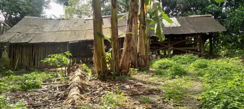 Cor pondasi bongkar bangunan tua paving