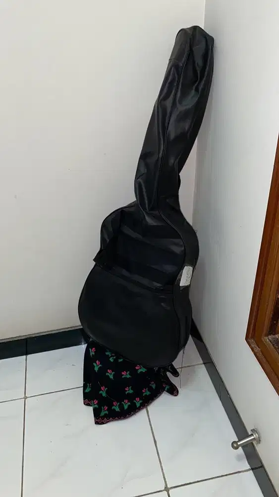 Guitar with Cover