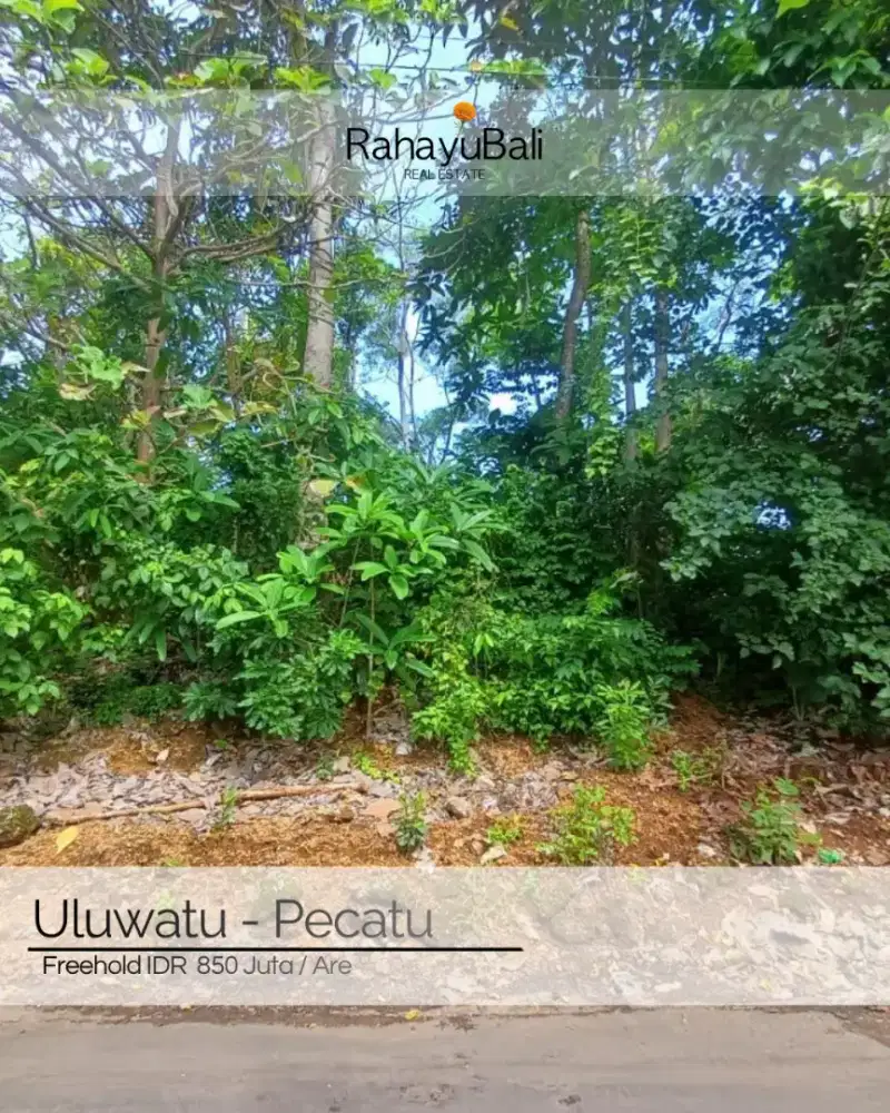 Tanah kawasan Villa di Pecatu