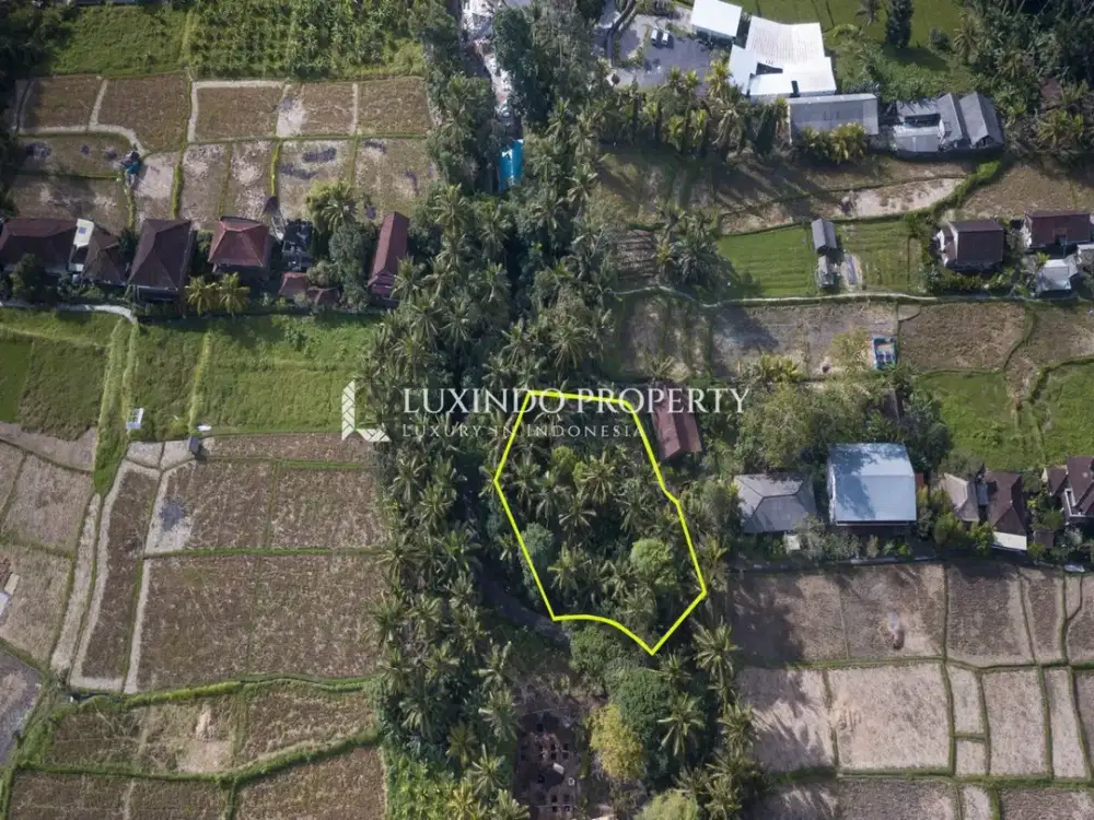 DIJUAL TANAH SELUAS 12 ARE DI UBUD