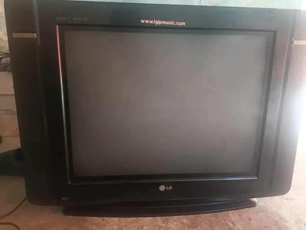 TV LG 24 INC MASIH NORMAL