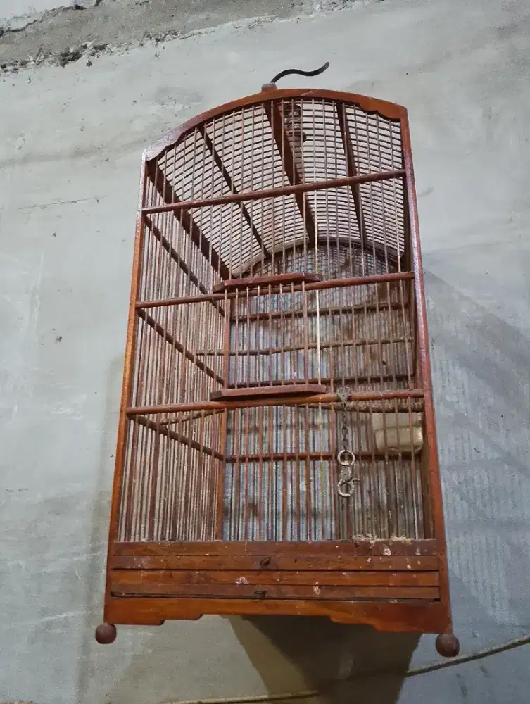 Kandang burung siap pakai