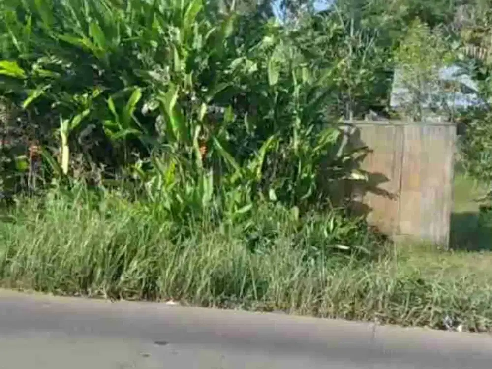 Dijual tanah luas hampir 4 hektar dijalan Inpres Duren Ijo Perajin Banyuasin Sumatera Selatan