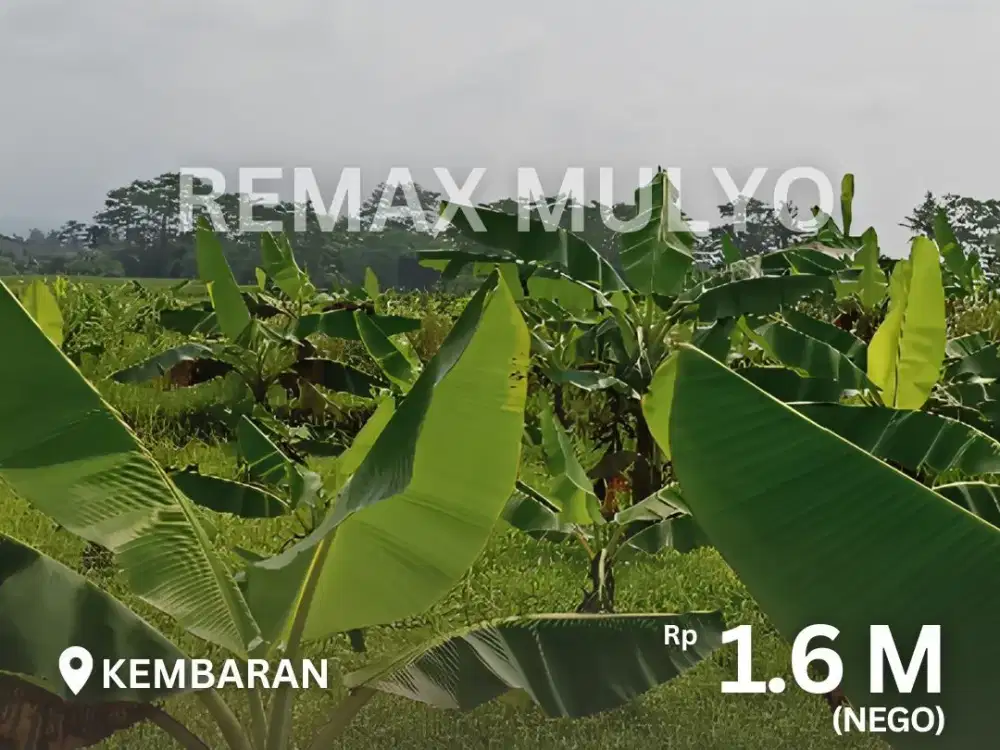 Dijual Murah! Tanah 4.034 m2 Cocok Untuk Industri atau Usaha Area Kembaran