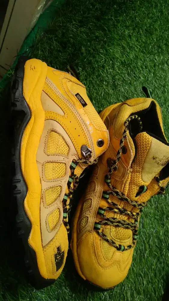 TnF original size 41 bekas