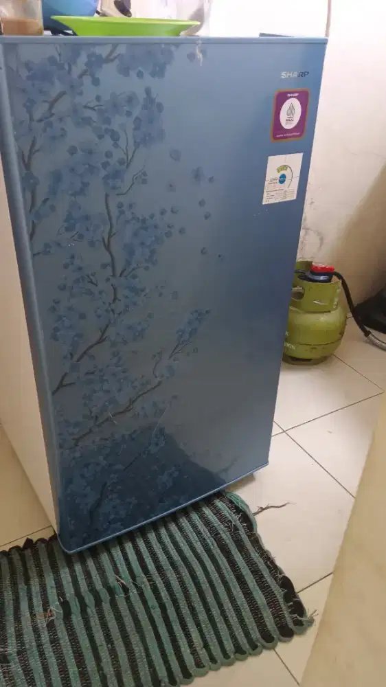 Kulkas satu pintu