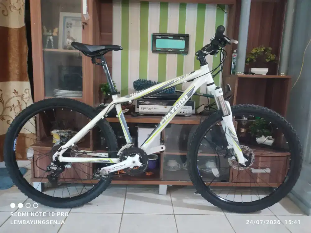 Polygon premier 4.0