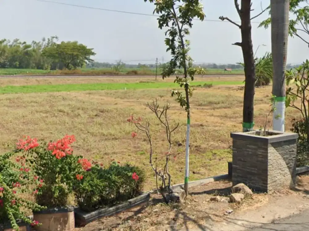 Dijual Tanah Jalan Propinsi Nganjuk ( Di Pintu Kota Nganjuk)