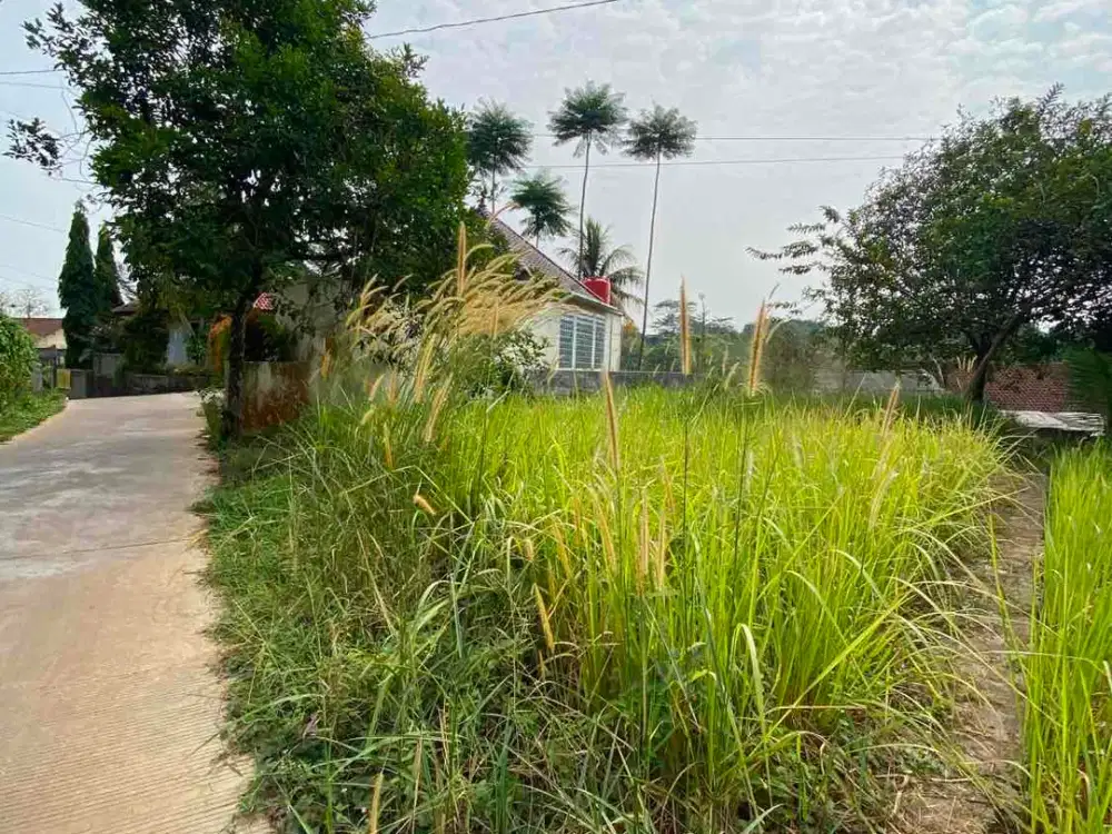 TANAH MURAH DAN STRATEGIS DI CIDOKOM PARUNG KABUPATEN BOGOR