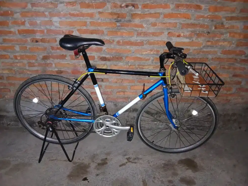Sepeda kalcer R24