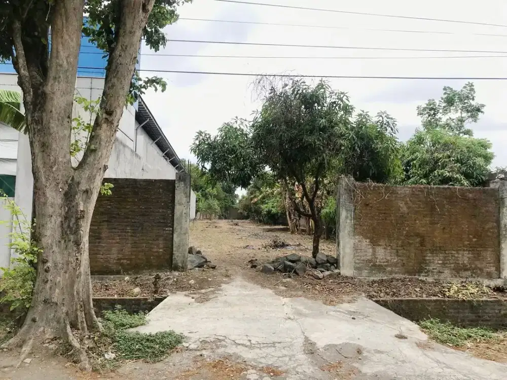 Tanah SHMP 1580m2 Tepi Ringroad Barat Dekat UMY, UNJANI, UBSI, Alma Atta, PGRI, Dekat Gamping, Cocok Gudang, Pabrik