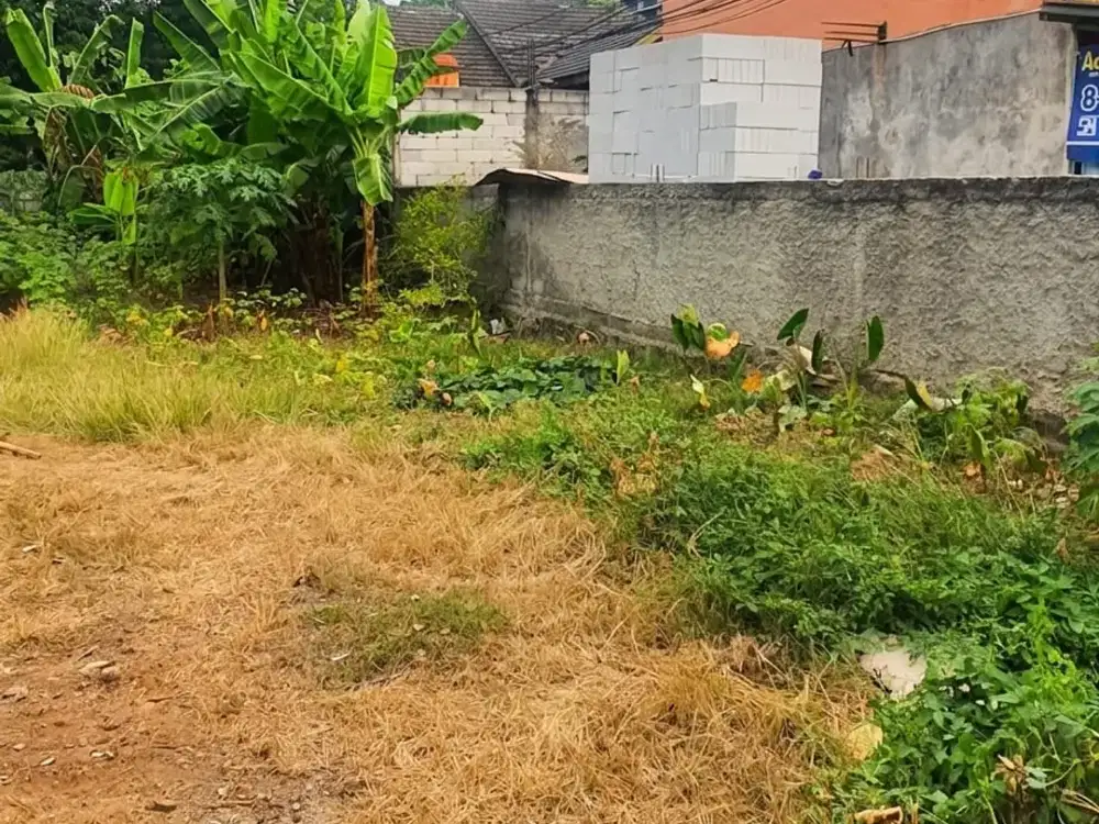 KAVLING TANAH POSISI BADAN LOKASI STRATEGIS PINGGIR JALAN MUNCUL, SERPONG - TANGERANG SELATAN
