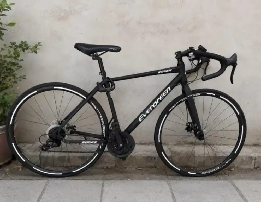 Evergreen Ripper Road Bike
