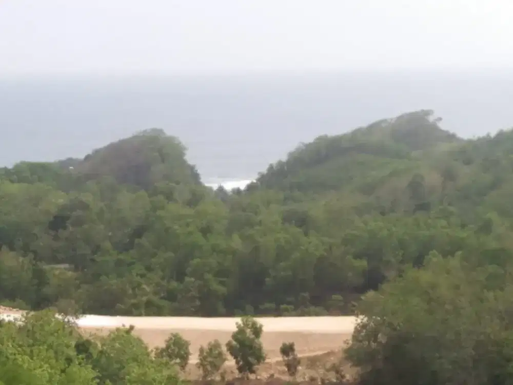 FOR SALE TANAH KOMERSIAL STRATEGIS PANTAI INDRAYANTI GUNUNG KIDUL YOGYAKARTA