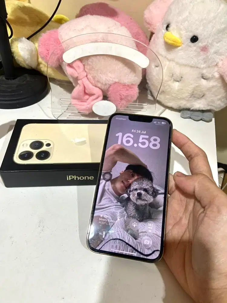 Iphone 13 pro second ibox 128gb