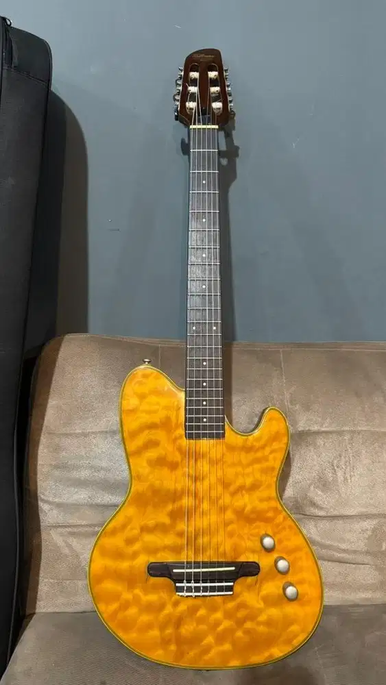 Ibanez Talman Intermaz TMX20N