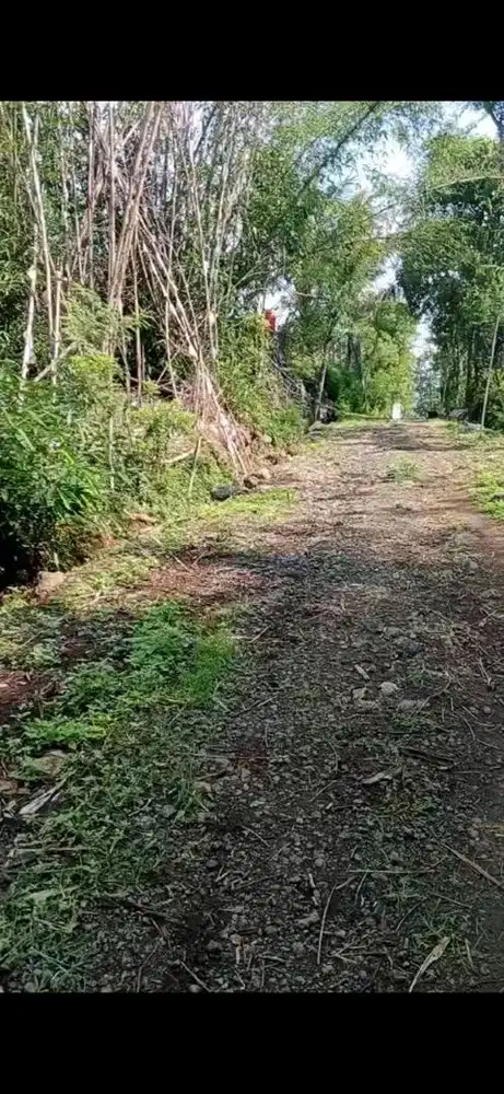 Tanah Murah BU Cepat