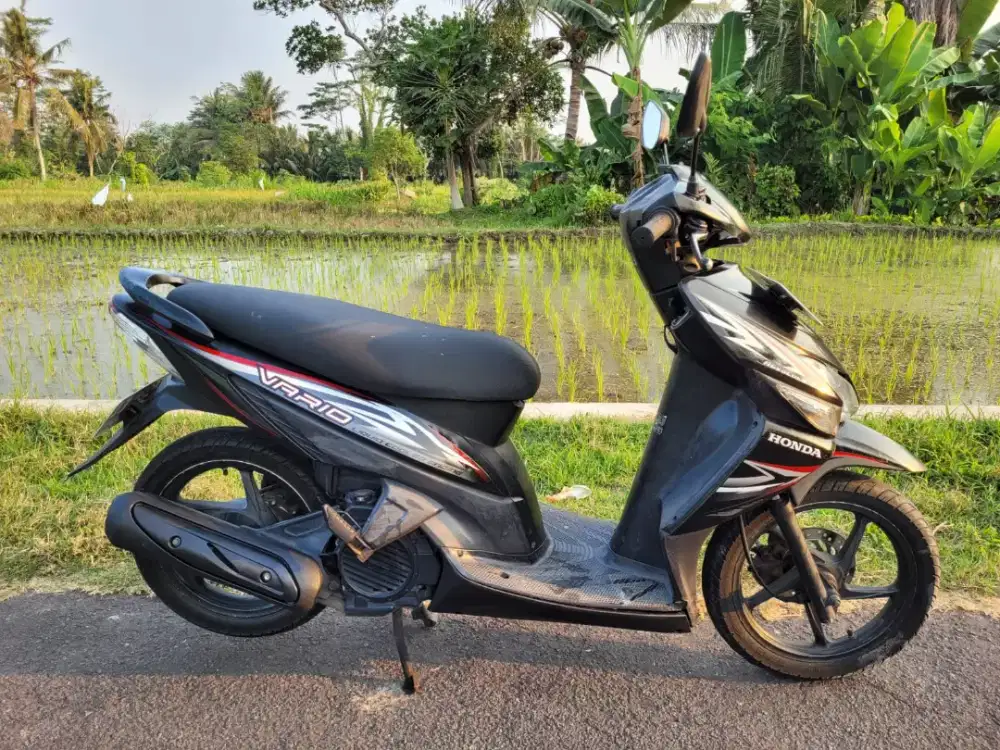 VARIO CW 110 2013