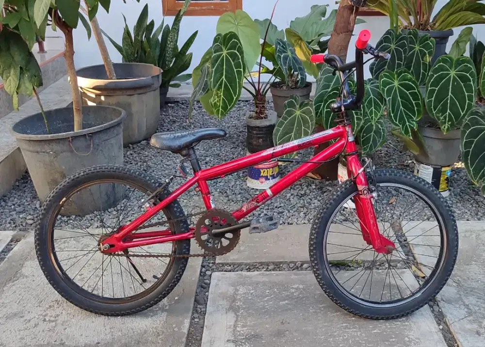 BMX Polygon Rudge 2 bekas Ring 20 rotor