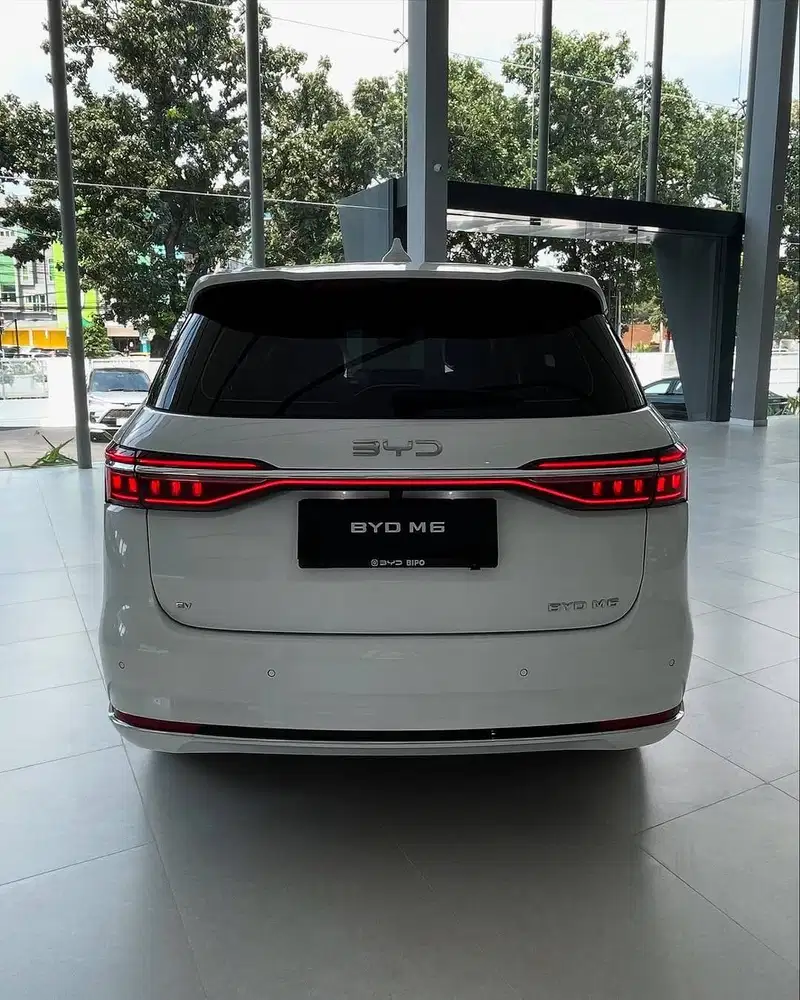 BYD M6 NIK 2025