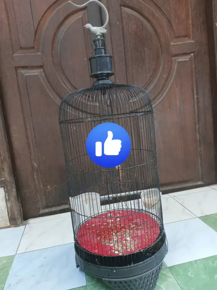 Sangkar lovebird octagon dn boom