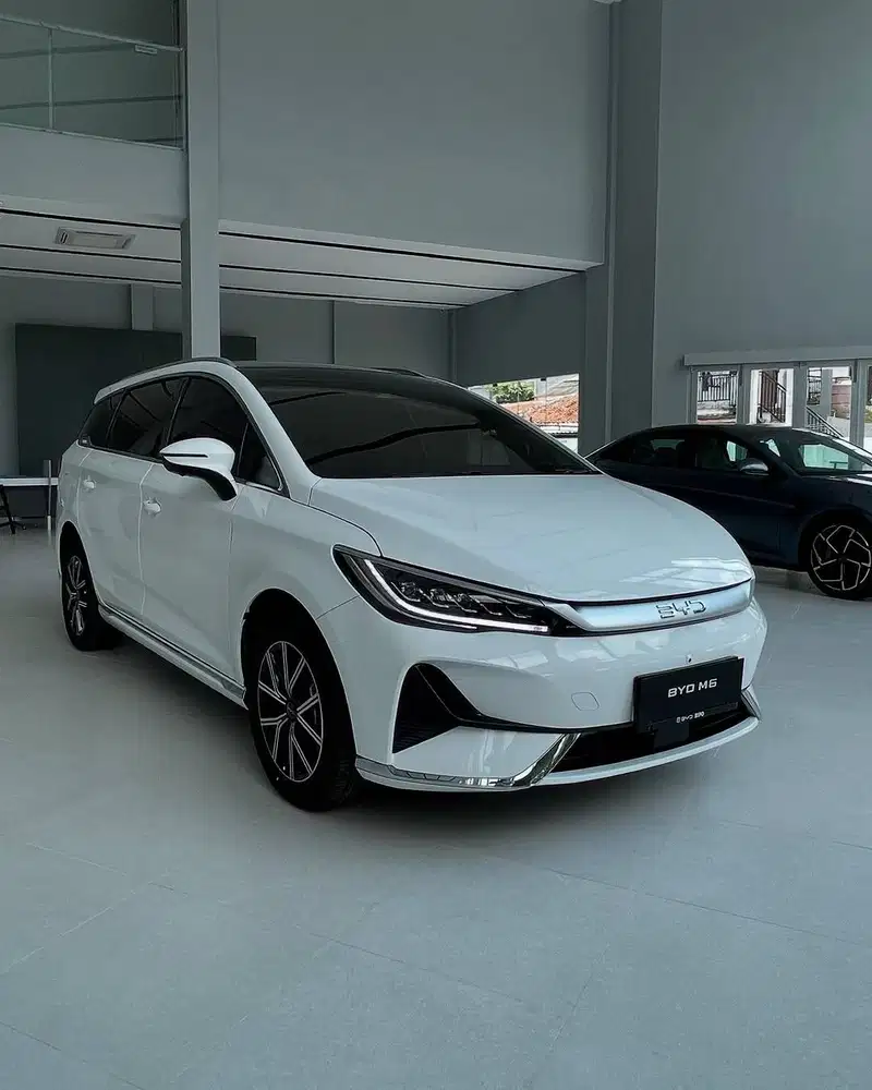 BYD M6 NIK 2025