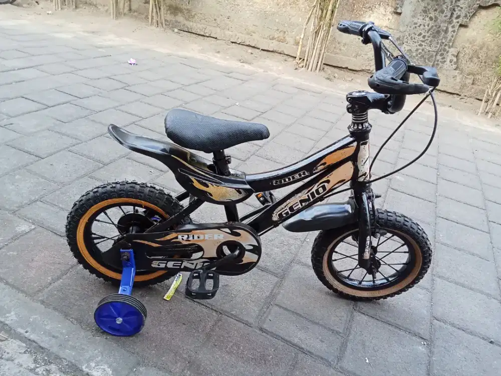 Sepeda anak GENIO RIDER R 12