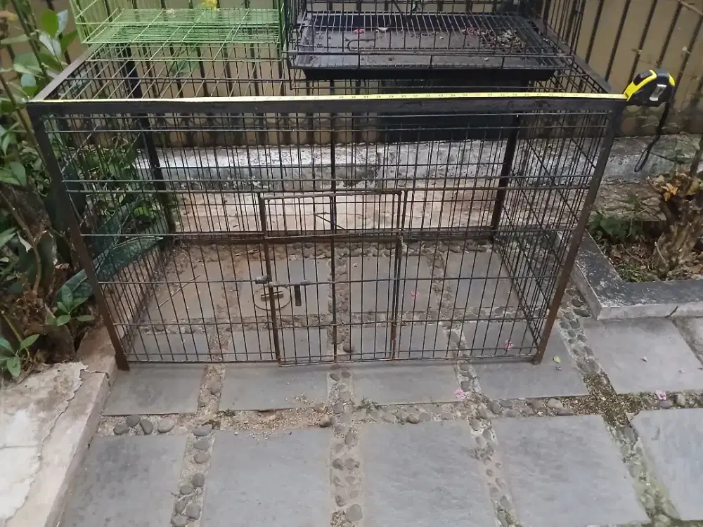 Kandang Anjing atau kucing